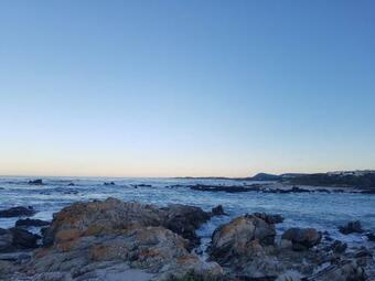 Pearly Cove