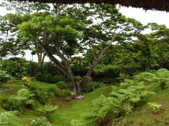 Hotel Taveuni Dive Resort