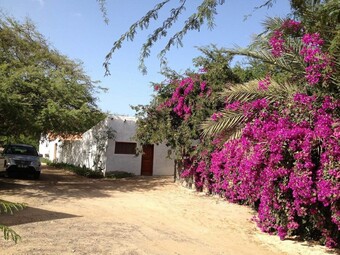 Ver fotos