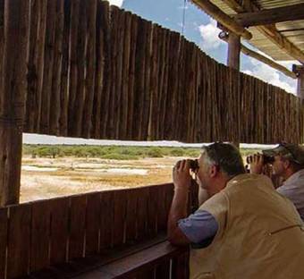 Dinaka Safari Lodge