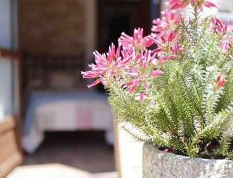 Agroturismo Casa Rural La Tayuela