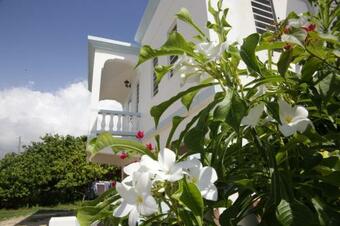Apartamento Breezee
