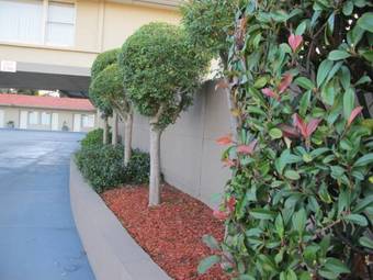 Hotel Cessnock