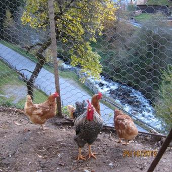 Agroturismo Lexhof