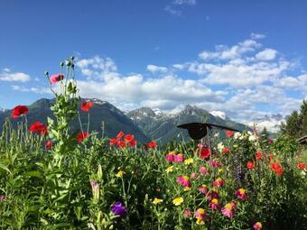 Ver fotos