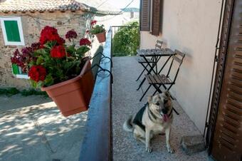 Casona De Rabanal-oca