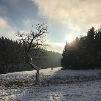 Chalet De Charme, Le "caribou Lodge", Eifel Belge