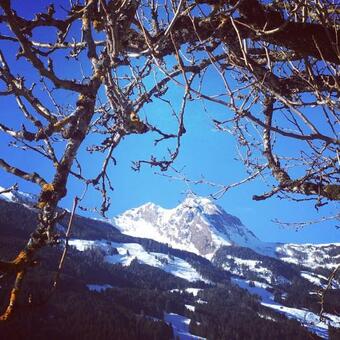 Chalet Franzi