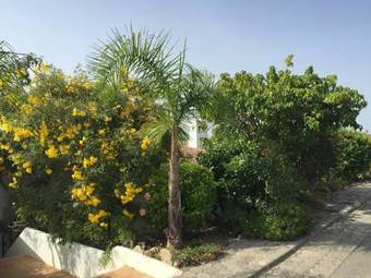 Hotel Sol Nascente