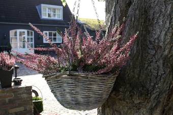 B&B De Droomhoeve
