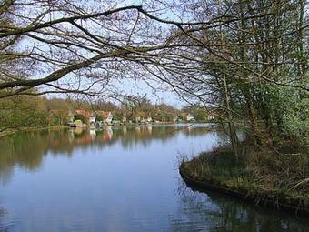Holiday Home Landgoed Het Timmerholt5