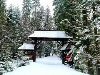 Lodge Forest House