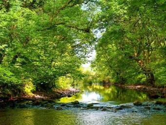 Wylies Brae