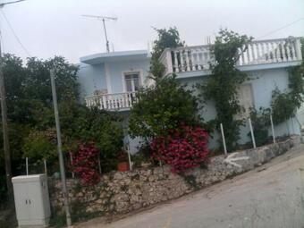 The Blue House