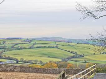 Penuwch Fach