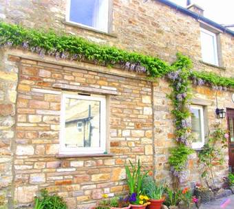Hazels Roost B&B