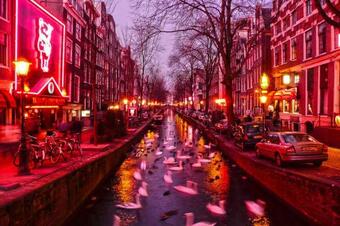 Amsterdam Red Light Bed & Breakfast