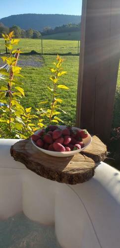 Waszczyszyn�wka