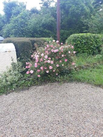 Katie's Cottage