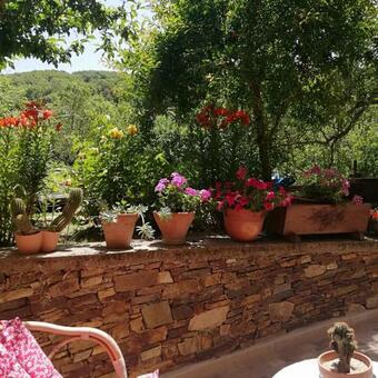 B&B L'agrifoglio