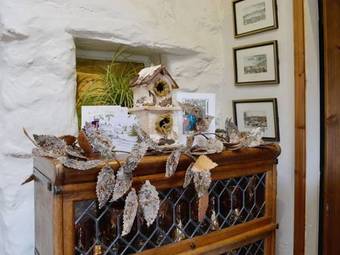 Collfryn Cottage