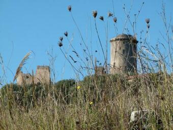 Hostal Alma Cilento