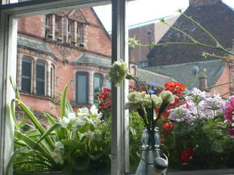 Posada The Wrens Hotel