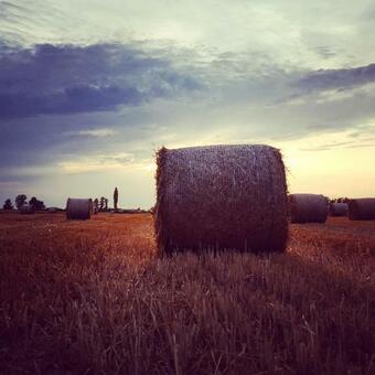 Glamping Na Brejgi