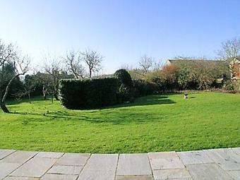Orchard View