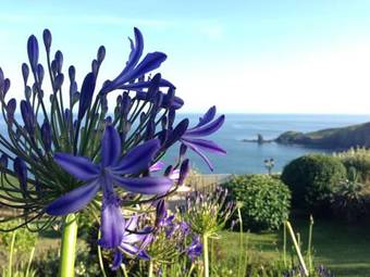 Housel Bay Hotel