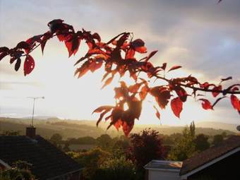 Bed & Breakfast Torlands