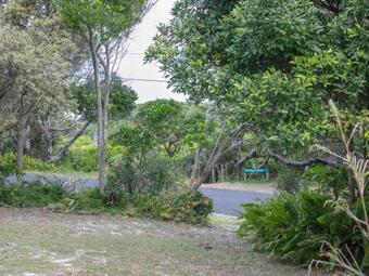 Ver fotos