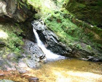 Hostal Craigieburn Guest House