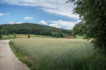 Bleibe Am Moritzberg