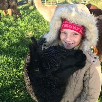Hostal Waihi Gold Alpacas 3 Or 4 People
