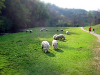 Posada George And Dragon Ashbourne