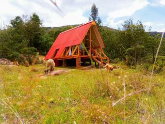 Dante Glamping