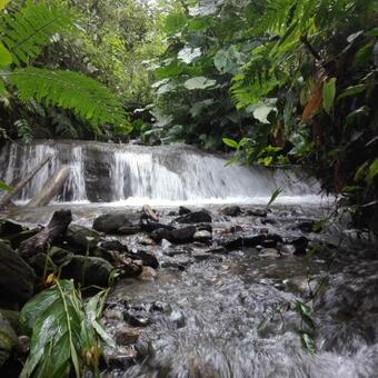 Ecoglamping Reserva Natural Para�so Andino