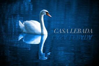 Hostal Casa Leb?da