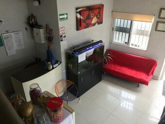 Ver fotos