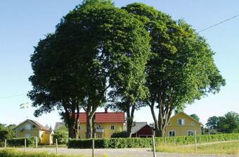Agroturismo Vegby Bolsg�rd "lillstugan"