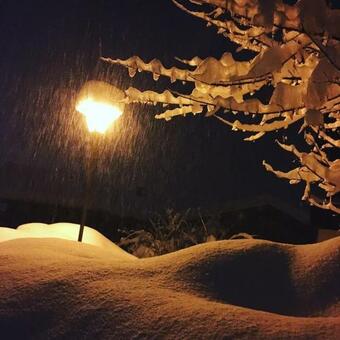 Apartamento Ferienhaus Enzian