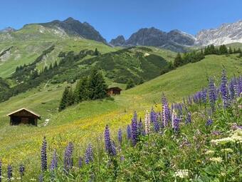 Ver fotos