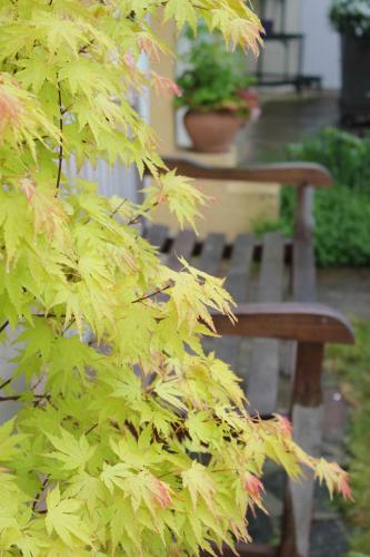 Bed & Breakfast Le Chemin Du Village