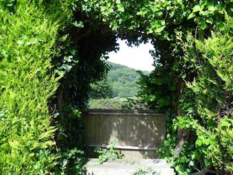 Vine Cottage B&B