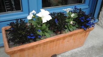 Le Clos Des Roses