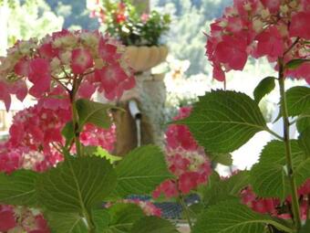 Hotel Les Florets