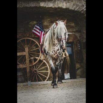 Agroturismo Chambre D Hotes Ranch Du Haut-languedoc