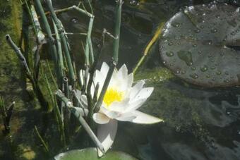 Bed & Breakfast Le Jardin Des Secrets