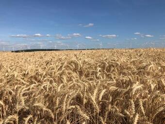 Les Bois De Champagne L'industriel